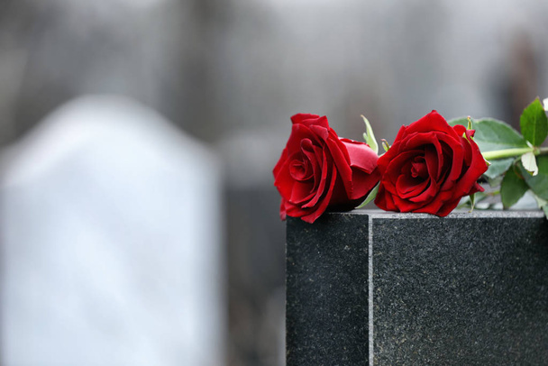 Red roses on black granite tombstone outdoors, space for text. F - Valokuva, kuva