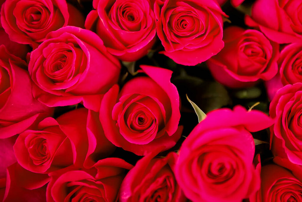 Κοντινό πλάνο του μπουκέτο με κόκκινα τριαντάφυλλα. Τα καλύτερα λουλούδια του Αγίου Βαλεντίνου. Το ιστορικό του Αγίου Βαλεντίνου. Λουλούδια για την αγάπη. Το καλύτερο δώρο για τη γυναίκα είναι τα λουλούδια - Φωτογραφία, εικόνα