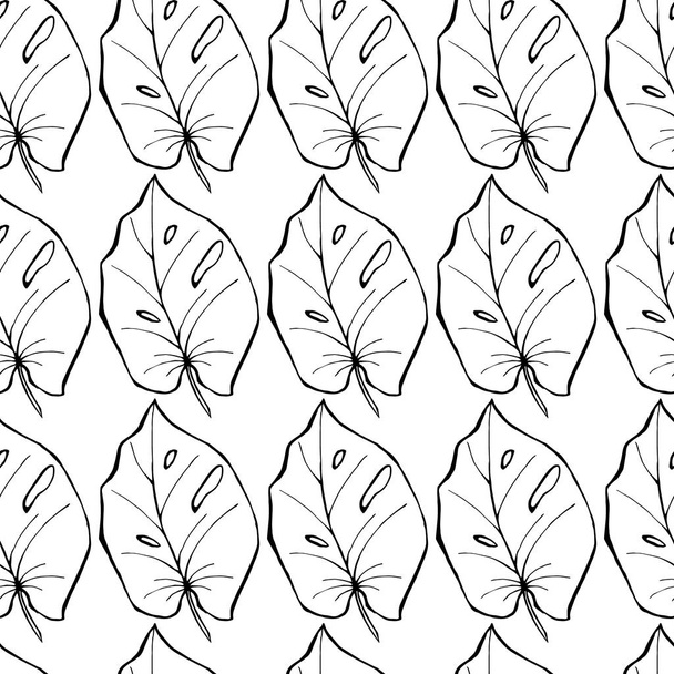 Seamless pattern monstera leaves. Outline black on white background. Design  for fabric, textile, wallpaper. - Vector, Image