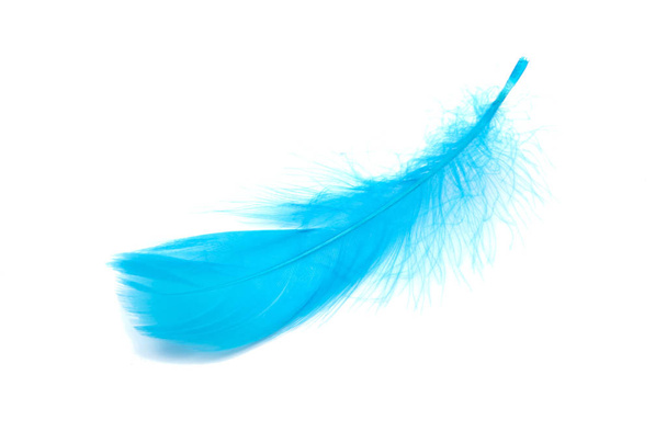 Blue fluffy feather soft isolated on the white studio background - Photo, Image