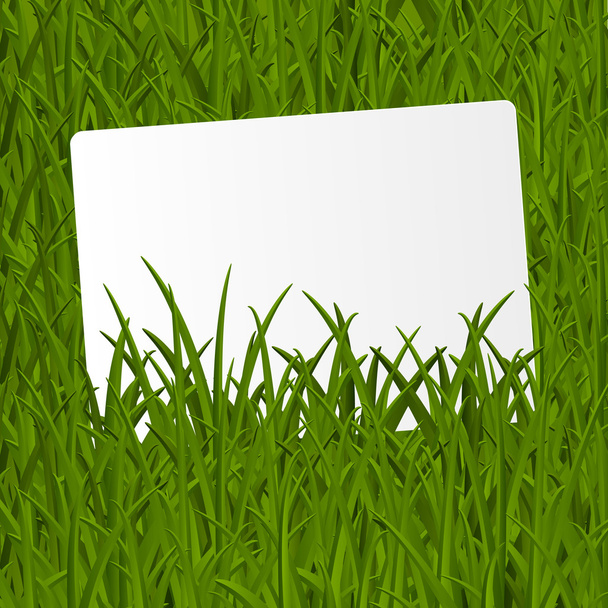 Grass texture - Вектор, зображення