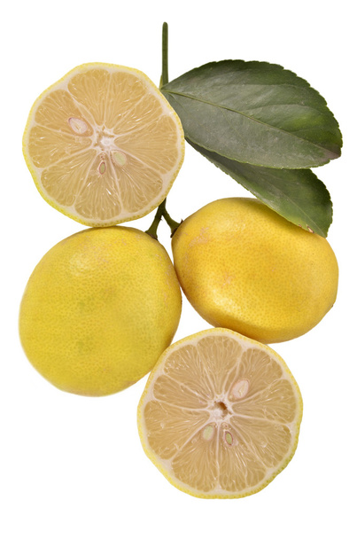Cytryny na białym tle - Zdjęcie, obraz