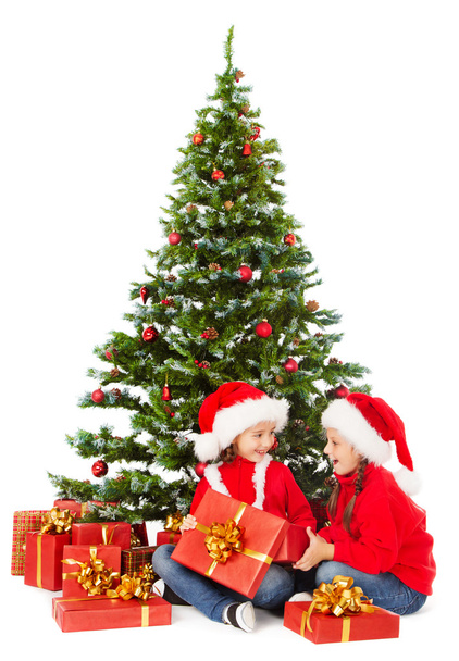 Christmas helpers kids in Santa hat open gift box under fir tree - Fotografie, Obrázek