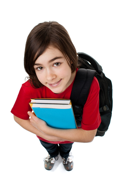 Girl holding books - Zdjęcie, obraz