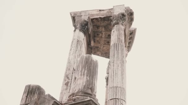 ローマの魅力的な景色イタリア南部の植物に囲まれた白い古代の大理石の柱を表しています - 映像、動画