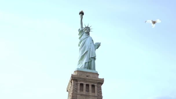 New York Özgürlük Adası 'ndaki ünlü Özgürlük Heykeli. Açık bir yaz gününde oradan geçen büyük bir kuş. - Video, Çekim