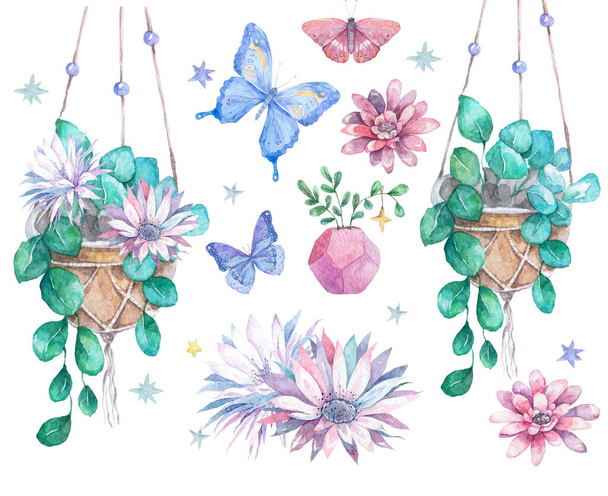Watercolor set beauty plants and flowers and blue, pink flying butterfly. Set of decor illustration on white isolated background for invte, greeting card - Zdjęcie, obraz