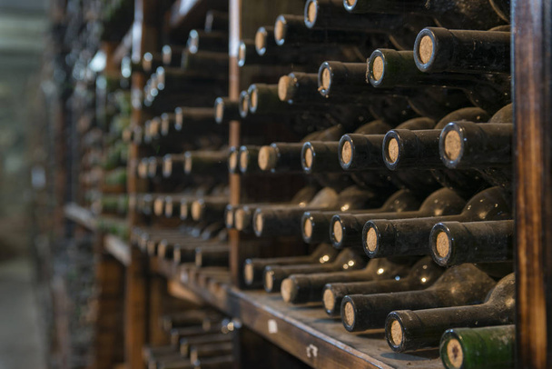 botellas de vino polvorientas en un estante de madera en una bodega
 - Foto, Imagen