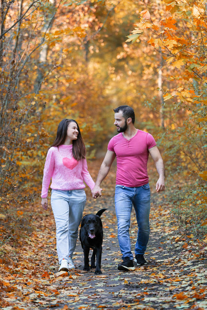 Un jeune beau couple et leur labrador se promènent dans le parc. Un homme tenant la main d'une femme. Soirée d'automne chaude dans la forêt
. - Photo, image
