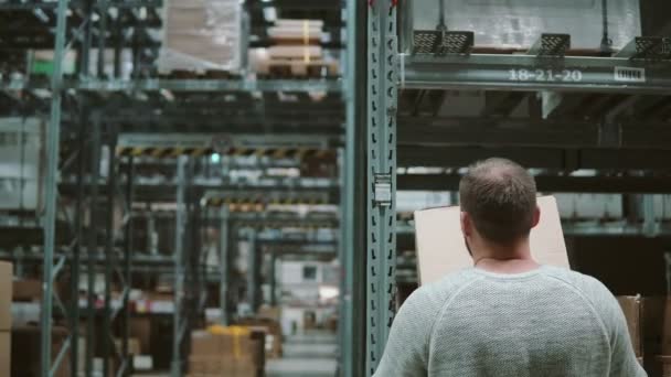 a man is taking boxes from the shelves taking them and goes away through shelves in a warehouse back view - Metraje, vídeo