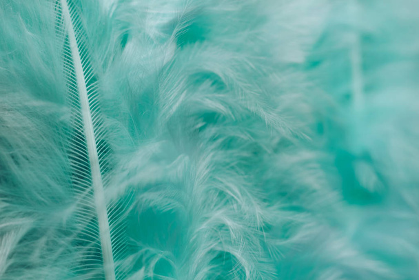 Közelkép Gyönyörű zöld trendek madár toll minta textúra háttér. Makrofotózás nézet.  - Fotó, kép