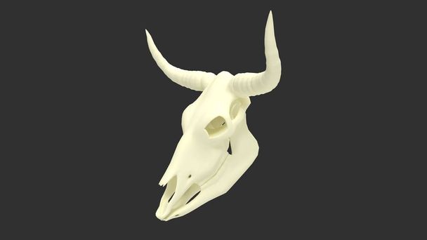 representación 3d del cráneo de un buey de vaca aislado sobre un fondo negro
 - Foto, Imagen