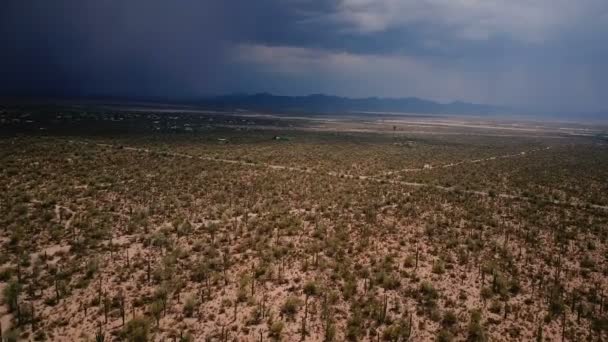 Беспилотник, летящий высоко над эпическим пустынным полем кактуса с песчаной бурей, приближающейся в летнем национальном парке Аризона
 - Кадры, видео