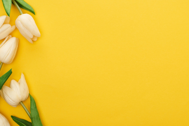вид зверху весняних тюльпанів на барвистому жовтому фоні з пробілом для копіювання
 - Фото, зображення