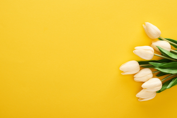 Vue du dessus des tulipes printanières sur fond jaune coloré - Photo, image