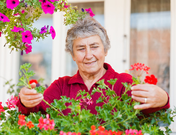Old lady with flowers - Photo, image