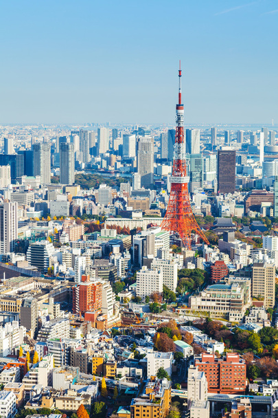 Tokyo skyline - Photo, Image