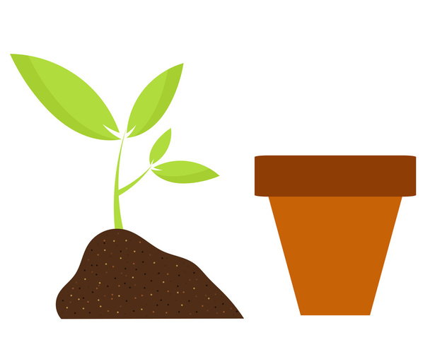 Plant and pot - Vector, afbeelding