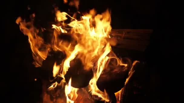 Inspirerende vorken van geel en oranje vuur spelen in een open haard in slow motion Verbazingwekkend uitzicht op een open haard vlam met zijn logs geplaatst in stapels branden met veelkleurige vuurvorken in slow motion. Het ziet er gevaarlijk en ongelooflijk uit.. - Video