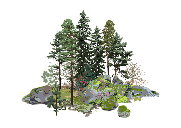 Хвойні дерева серед скель, покриті зеленим мохом
 - Вектор, зображення