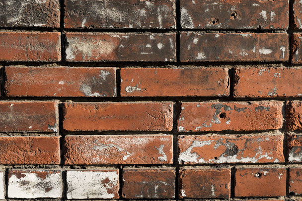Brick wall texture. Background image of masonry - Photo, Image