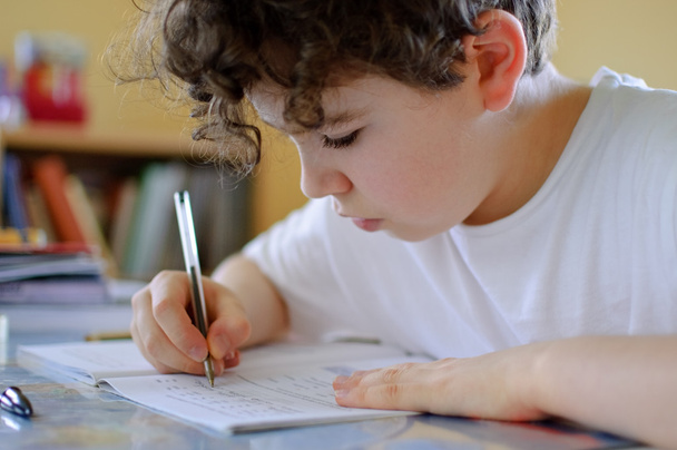 Boy doing homework - Foto, immagini