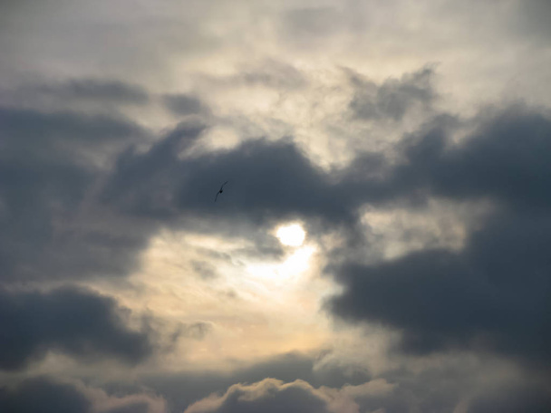 Talviaurinko piiloutuu voimakkaiden ukkospilvien taakse. Lentävä merikotka
 - Valokuva, kuva