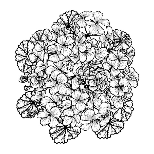 hand drawn floral decoration - Vektor, Bild