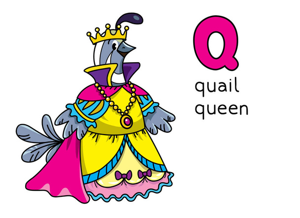 Reine des cailles Profession et animaux ABC. Alphabet Q - Vecteur, image