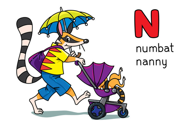 Numbat nanny Animals and professional ABCアルファベットN - ベクター画像