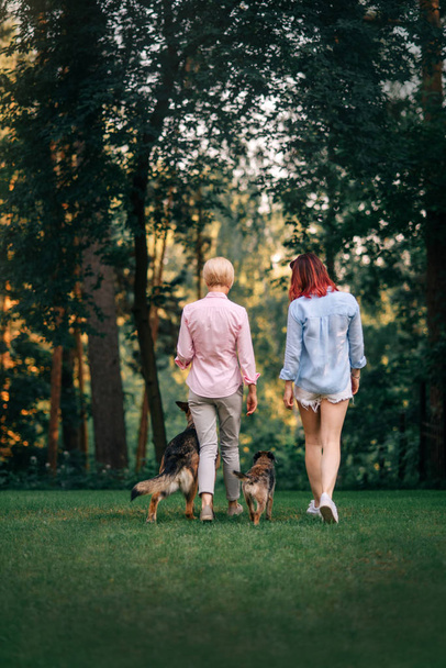 two women walking the dogs in the park, rear view - 写真・画像