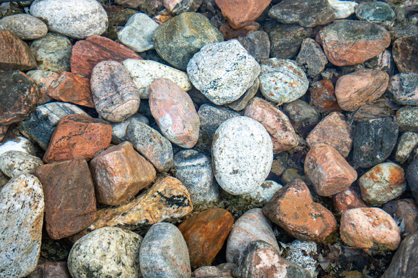 Top view of many pebbles - Photo, Image