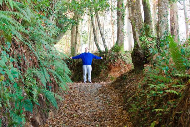 Młody człowiek na szczycie ścieżki w środku lasu, w pozie sukcesu. Przykład wysiłku i sukcesu - Zdjęcie, obraz