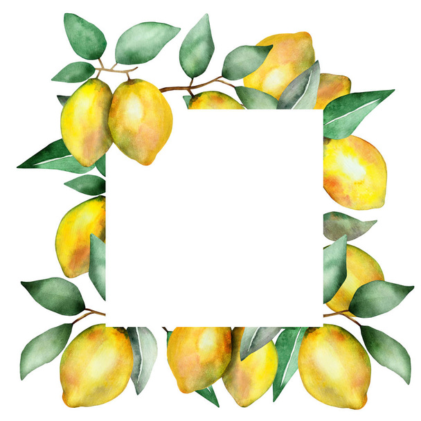 Watercolor hand painted nature squared border frame with yellow citrus fruit lemon, brown branches and green leaves on the white background for invitations and greeting cards with the space for text - Foto, imagen