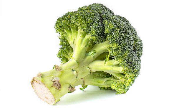 Brassica oleracea var cursica Broccoli ізольовані на білому тлі
 - Фото, зображення