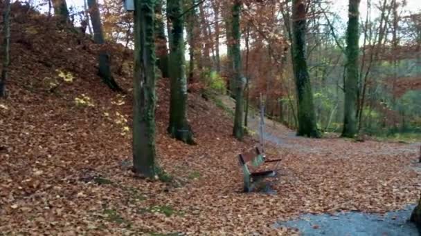 Wind is blowing trough the brown leaves on a path way. Empty wooden bench in forest in autumn at riverside of Aare in canton Aargau in Switzerland. - Séquence, vidéo