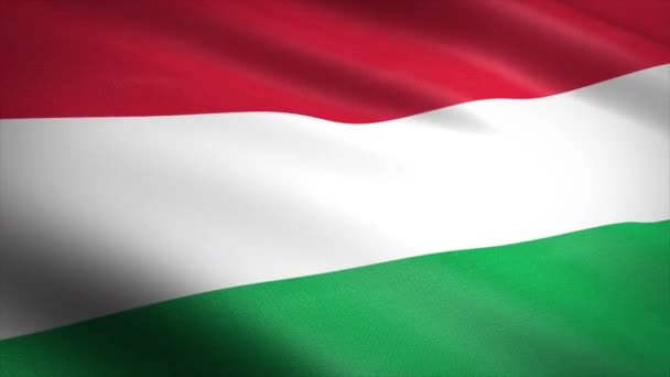 Vlag van Hongarije. Zwaaien vlag met zeer gedetailleerde stof textuur naadloze loopable video. Naadloze lus met zeer gedetailleerde stofstructuur. Loop klaar in 4k resolutie - Video