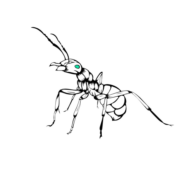 Skizze Entwurf der Illustration von Ameisen  - Vektor, Bild