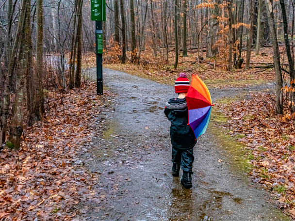 Lapsi, jolla on sateenkaaren sateenvarjo luontopolulla
 - Valokuva, kuva