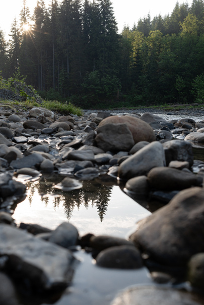 Piedras en la orilla del bosque río primer plano, agua
 - Foto, imagen