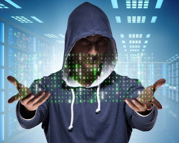 Hacker piratería sistema informático corporativo
 - Foto, Imagen
