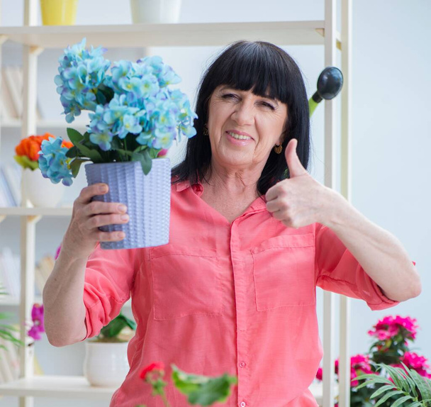 Žena květinářství pracuje v květinářství - Fotografie, Obrázek