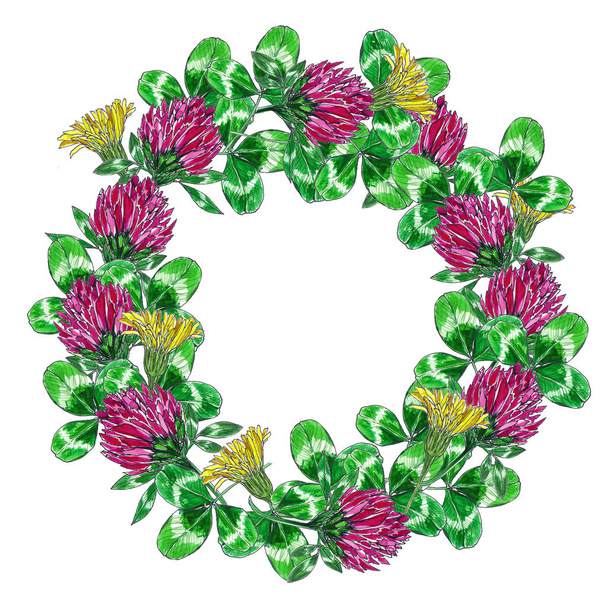 Classic clover illustration wreath. Decorative flower image for print and web design. element for card, header, invitation, wedding. Patricks day. - Zdjęcie, obraz