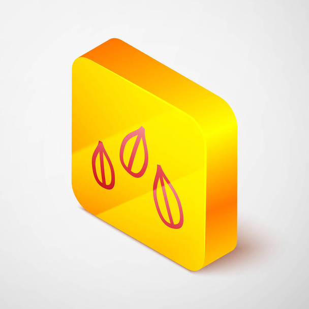 Isometryczna ikona nasion sezamu wyizolowana na szarym tle. Żółty, kwadratowy przycisk. Ilustracja wektora - Wektor, obraz