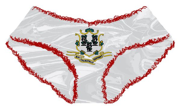 Symbole der Flagge des Bundesstaates Connecticut - Vektor, Bild