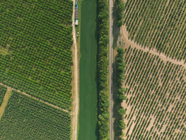 Letecké panorama silnice, která vede mezi zelenými vzory polí a zahrad - Fotografie, Obrázek
