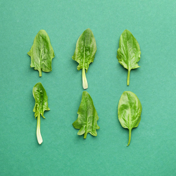 Fresh spinach on color background - Foto, afbeelding