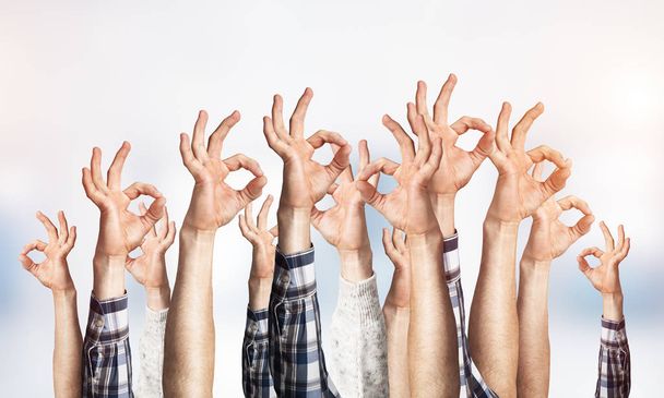 Ряд человеческих рук показывает нормальный жест. Согласие и группа подписей. Человеческие руки жестикулируют на светлом размытом фоне. Многие руки подняты вместе и представляют популярный жест
. - Фото, изображение