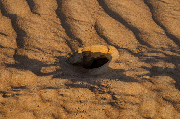 Дыра в песчаной пустыне в Омане крошечного животного
 - Фото, изображение