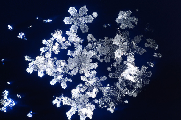 Snowflakes on dark blue background - Фото, изображение